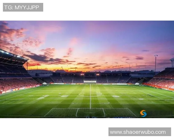 不出界的足球明星如何在绿茵场上书写传奇人生与荣耀篇章